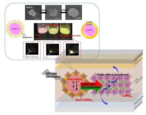 Upconverting near‐infrared light detection in lead halide perovskite with core–shell lanthanide ...