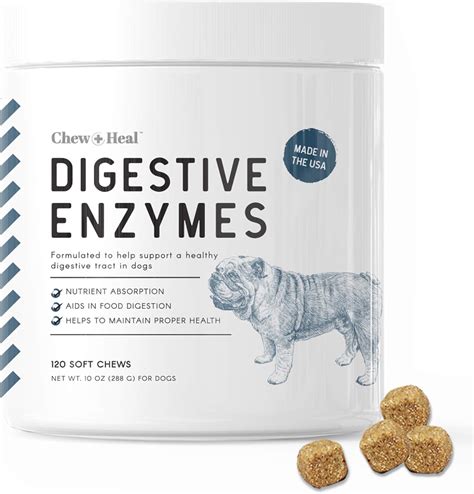 Amazon.com : Chew + Heal Digestive Enzymes with Probiotics for Dogs - 120 Soft Chew Treats ...