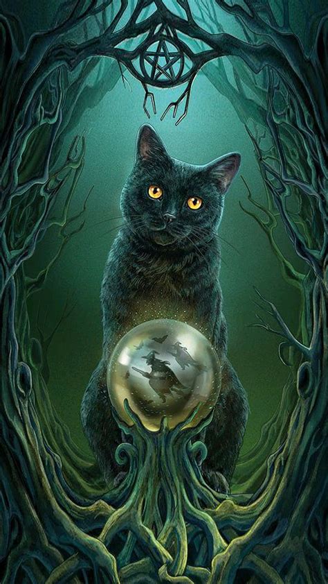 Witch Cat, HD phone wallpaper | Peakpx