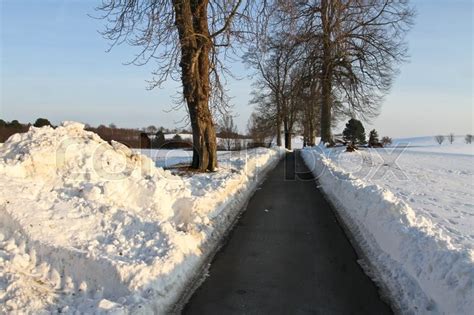 Path in the snow in winter in Denmark | Stock image | Colourbox