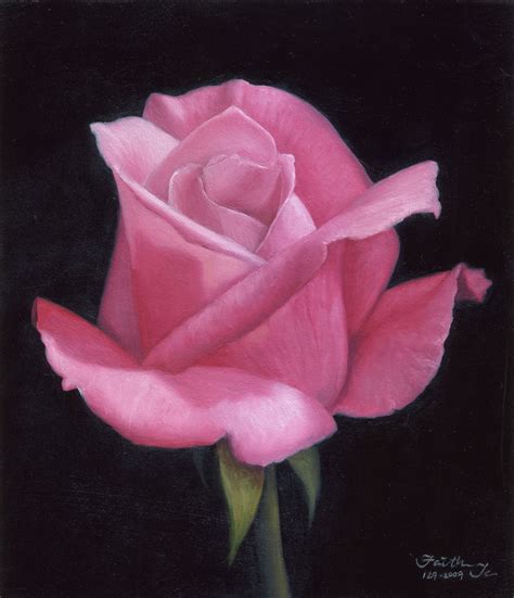 Pink No. 2 - Rose Paintings in Oil | Daily Paintings