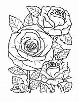 Free Sunflower Coloring Pages For Adults And Kids sketch template