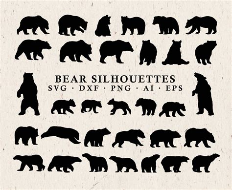 Bear SVG Cut Files Grizzly Bear SVG Polar Bear SVG Clipart | Etsy