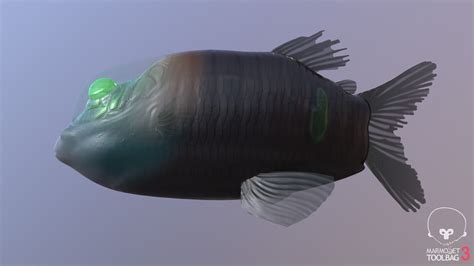 Sam Kevern - Barreleye