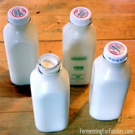 Ingredients For Making Cheese At Home - Fermenting for Foodies