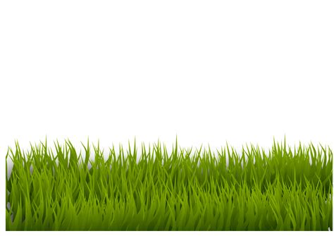 Lawn Desktop Wallpaper Clip art - grass png download - 2400*1697 - Free Transparent Lawn png ...