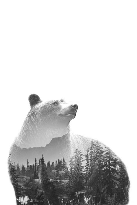 Bear Forest Poster - Artdesign