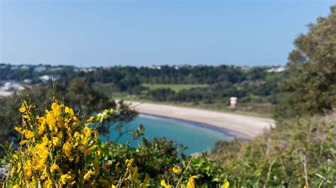 Jersey Coast Path | 3 favourite Jersey walks - What if we walked?