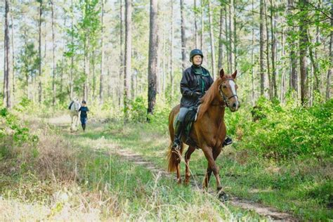 Must-Visit Parks and Trails in Chatham County, NC