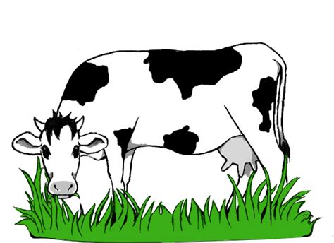 26 best ideas for coloring | Cartoon Cow Png