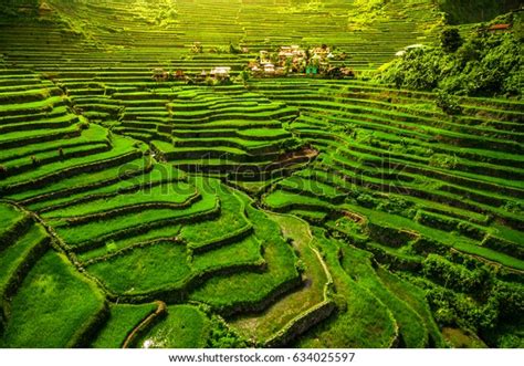 World Heritage Ifugao Rice Terraces Batad Stock Photo 634025597 | Shutterstock