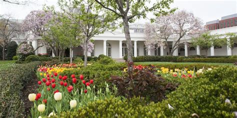 White House Rose Garden Before And After Melania Renovation