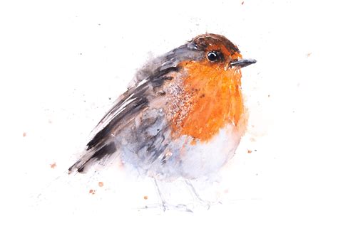 Robin Painting - Robin Watercolour Painting - Hand Signed Limited ...