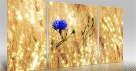 Triptych Canvas Prints | Creating 3-Panel Wall Pictures