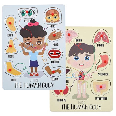 2 Pack Educational Human Body Puzzle for Fids, Inside and Outside Parts ...