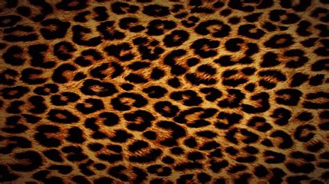 Leopard Desktop Wallpaper