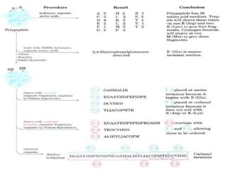 Protein and nucleic acid sequencing | PPT