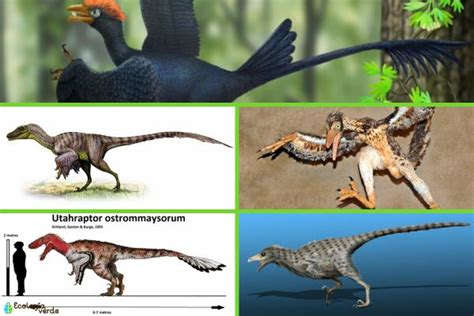 Dinosaurios voladores: tipos, nombres e imágenes - Resumen