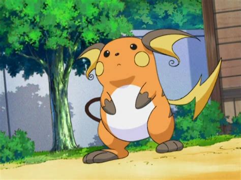 Summer Academy's Raichu | Pokémon Wiki | Fandom