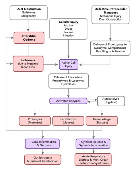 Pancreatitis - theguidewire