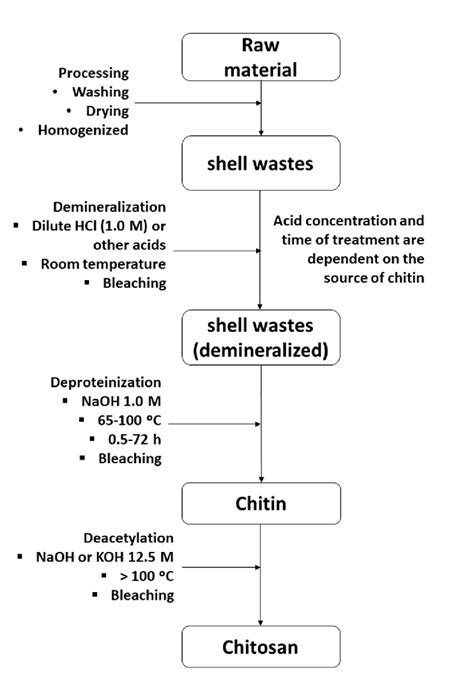 Conventional chemical production process of chitosan from shells of ...