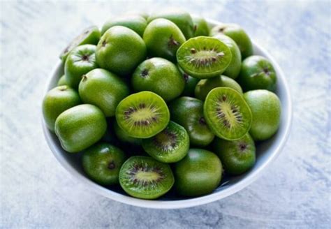 Kiwi Berry | Kiwi Berry Plant | Kiwi Berry Australia