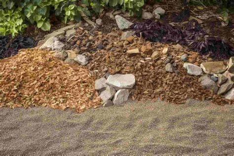 10 Flower Bed Ideas With Mulch: Add Color and Texture to Your Garden ...