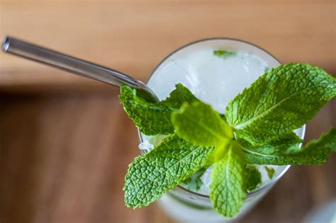 Bacardi Mojito Recipe | 2foodtrippers