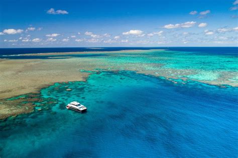 5 of the Best Great Barrier Reef Snorkeling Tours