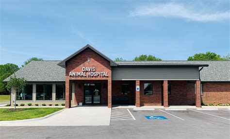 Home | Veterinarian in Springdale, AR | Davis Animal Hospital