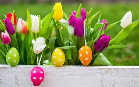 🔥 [50+] Easter Flowers Wallpapers | WallpaperSafari