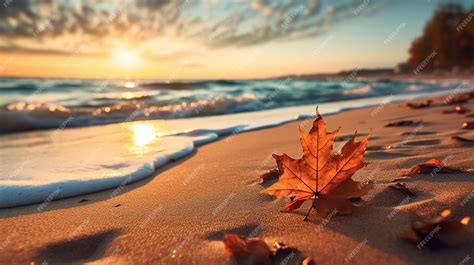 Premium Photo | Autumn leaf on the sand Beautiful cloudscape over the sea