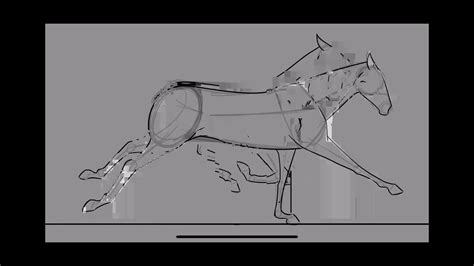 Horse Run Cycle | 2D Animation - YouTube