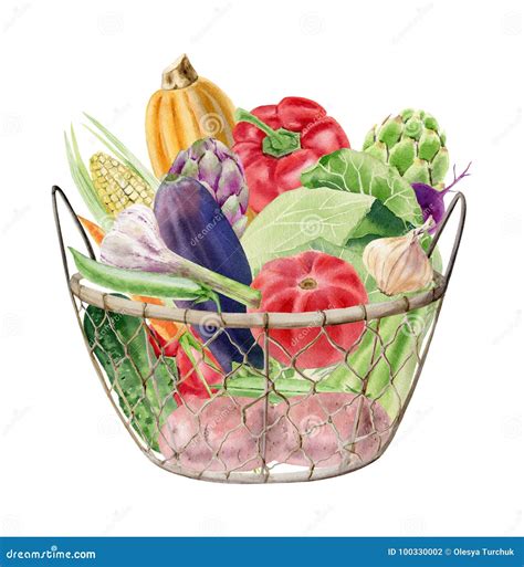 Watercolor Clipart of Vegetables in Basket Stock Illustration - Illustration of market, eggplant ...