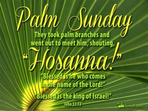They took palm branches and went out to meet him, shouting Hosanna!. Blessed is he who comes in ...