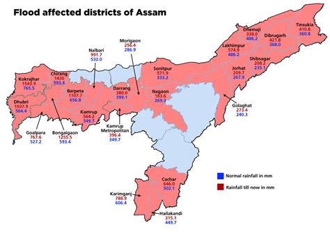 Bhoomika Trust Relief Efforts in Assam Floods | Bhoomika Trust