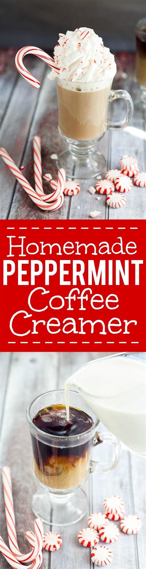 Homemade Peppermint Coffee Creamer Recipe | The Gracious Wife