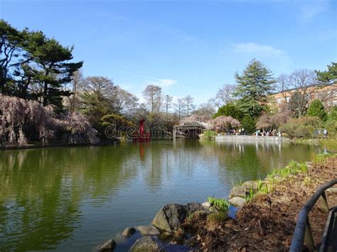 Brooklyn Botanic Garden April 2016 Part 3 11 Editorial Image - Image of ...