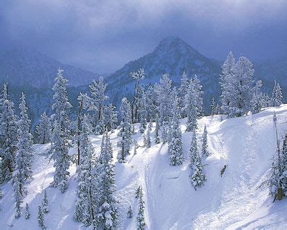 Anthony Lakes Ski Resort - Anthony Lakes Oregon Lodging | Oregon waterfalls, Oregon travel, Skiing