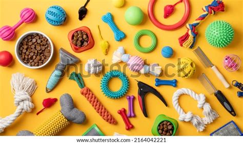 Pet Care Concept Various Pet Accessories Stock Photo 2164042221 | Shutterstock