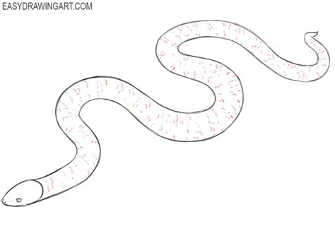 How to Draw a Snake - Easy Drawing Art