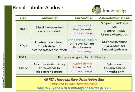 IM Flashcards | Nephrology Urology Flashcard - 2556