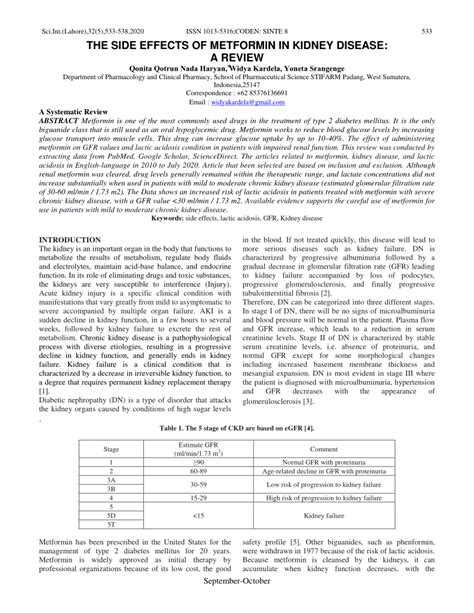 (PDF) THE SIDE EFFECTS OF METFORMIN IN KIDNEY DISEASE: A REVIEW