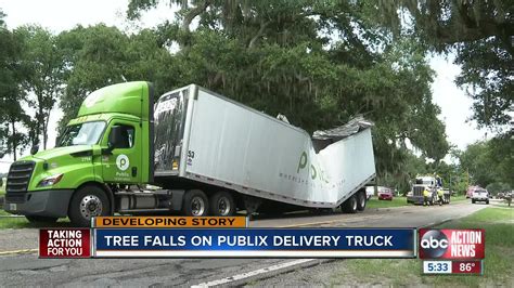 Tree falls on Publix truck carrying groceries in Plant City