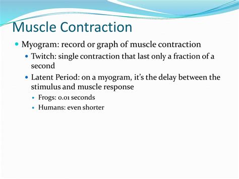 Muscular System. - ppt download