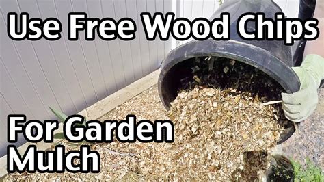 How To Use Free Wood Chips For Garden Mulch - YouTube