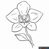 Free Printable Garden Coloring Pages For Kids sketch template