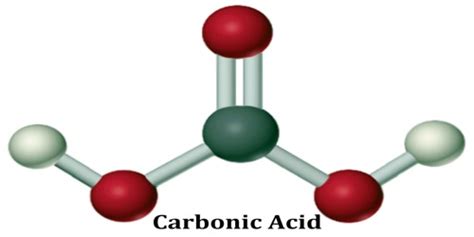 Carbonic Acid - Assignment Point