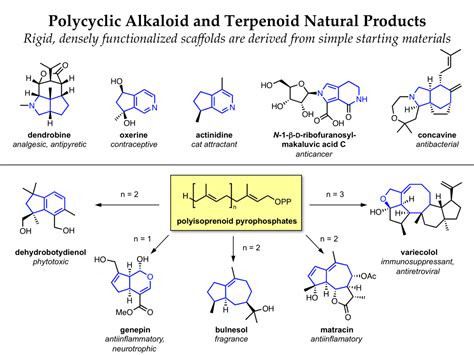 The Derek Tan Lab: Diversity-Oriented Synthesis of Multiscaffold ...