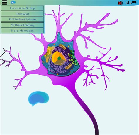 Brain Cell Types: What's Your Mind Made of?